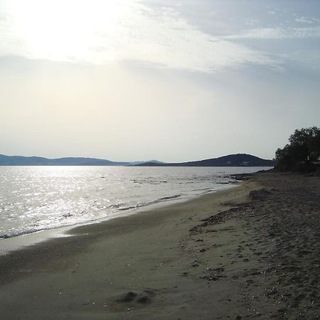 Studio Near The Sea Αγία Άννα Εξωτερικό φωτογραφία